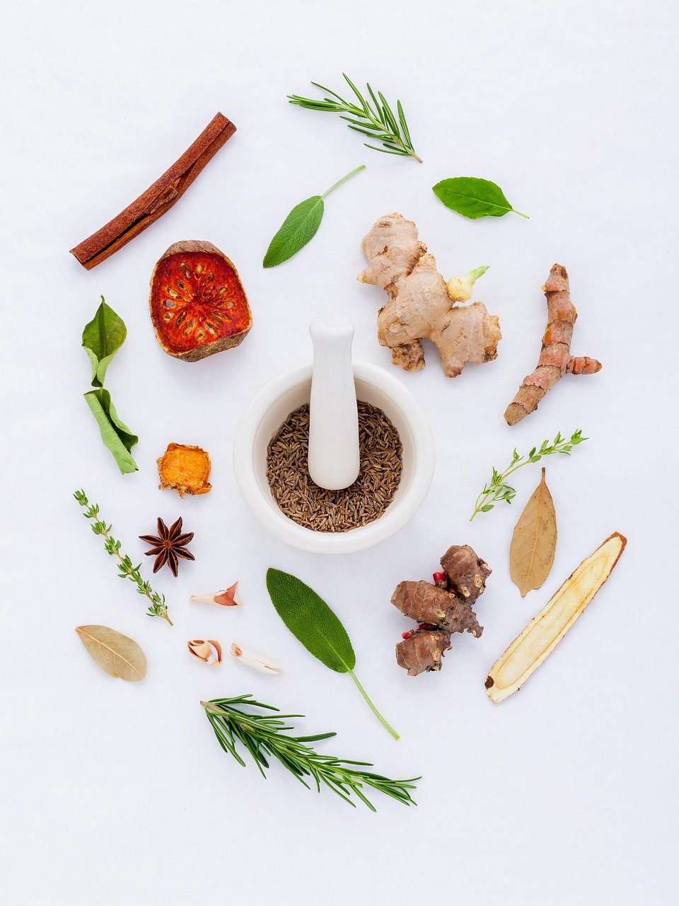 herbs, nature, natural, pharmaceutical, green, ingredients, white, medical, healing, chinese, herbal, diet, aroma, organic, concept, leaves, medicine, recipe, spices, healthy, collection, biology, care, scientist, science, plant, seasoning, fresh, nutrition, cooking, food, pharmacy, mortar, dry, healthcare