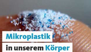 Extra info: Bonus knowledge – Why microplastics are a serious issue.